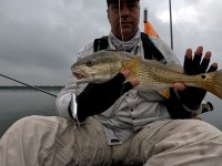 21" Redfish on 20240506